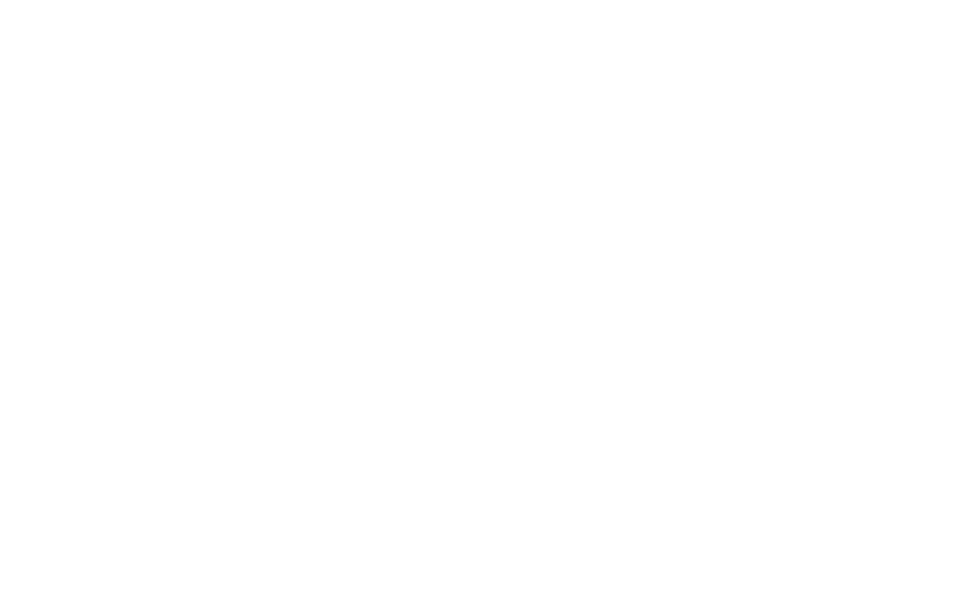 Terry's Logo